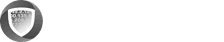 Invisinet